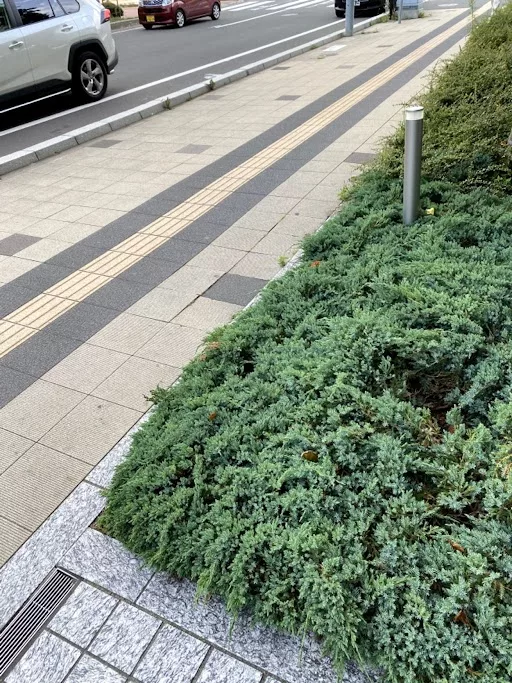 写真: 歩道の点字ブロック。歩道の色はベージュのような色だが、点字ブロックの左右だけ黒になっている。