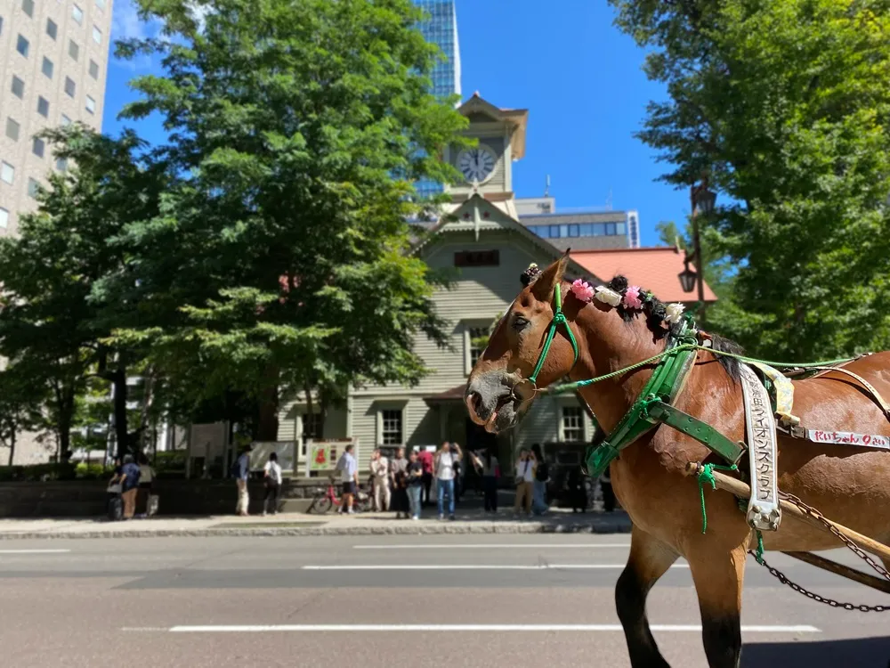 オフィス周辺の景色／時計台と札幌観光幌馬車