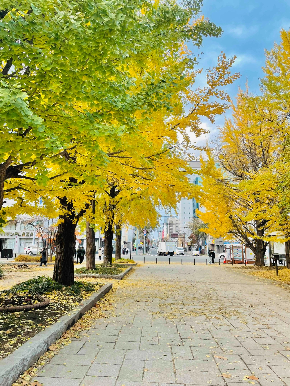 中島公園の2024年の紅葉